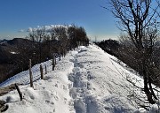 41 Sguardo indietro verso il Pizzo Cerro